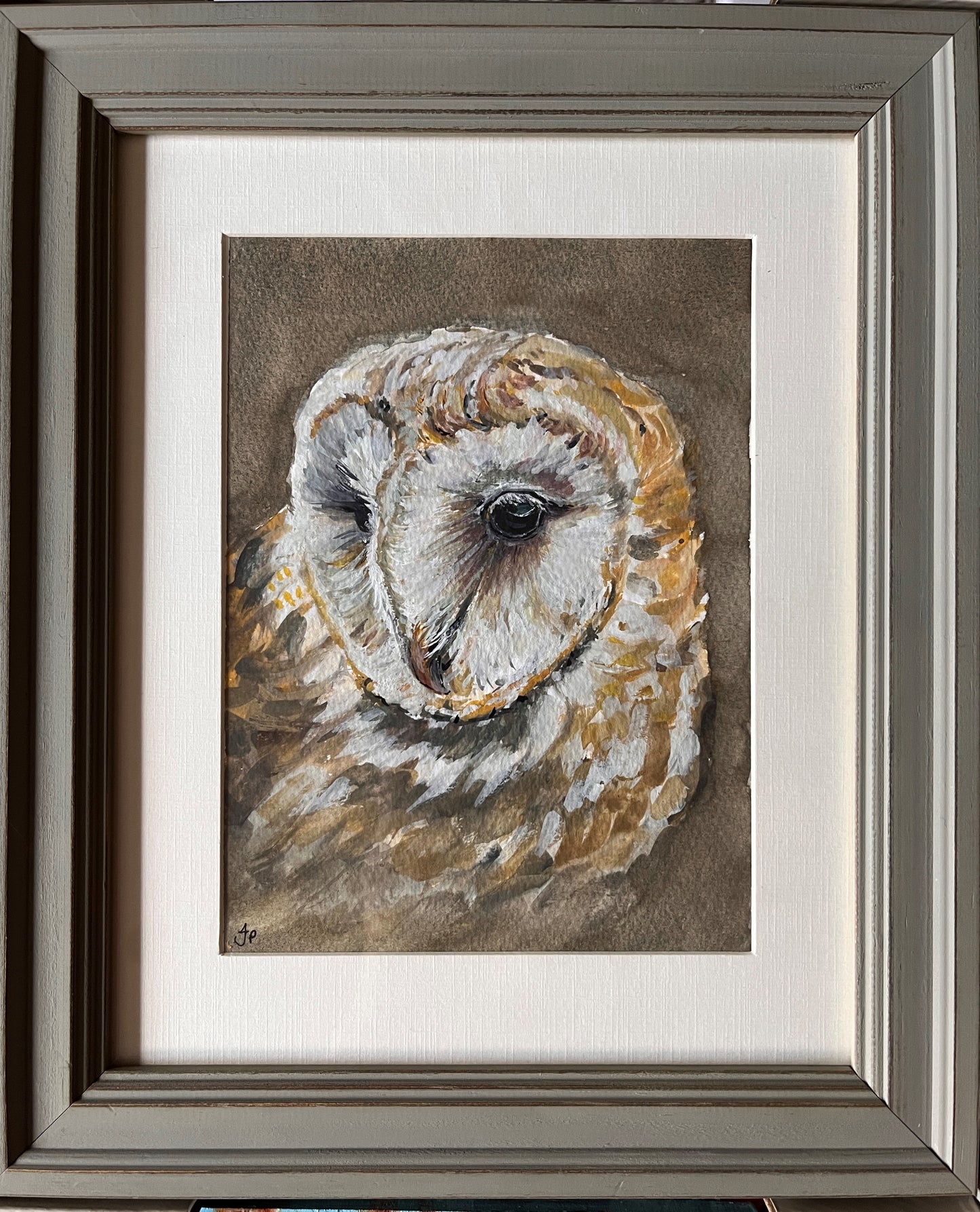Barn Owl