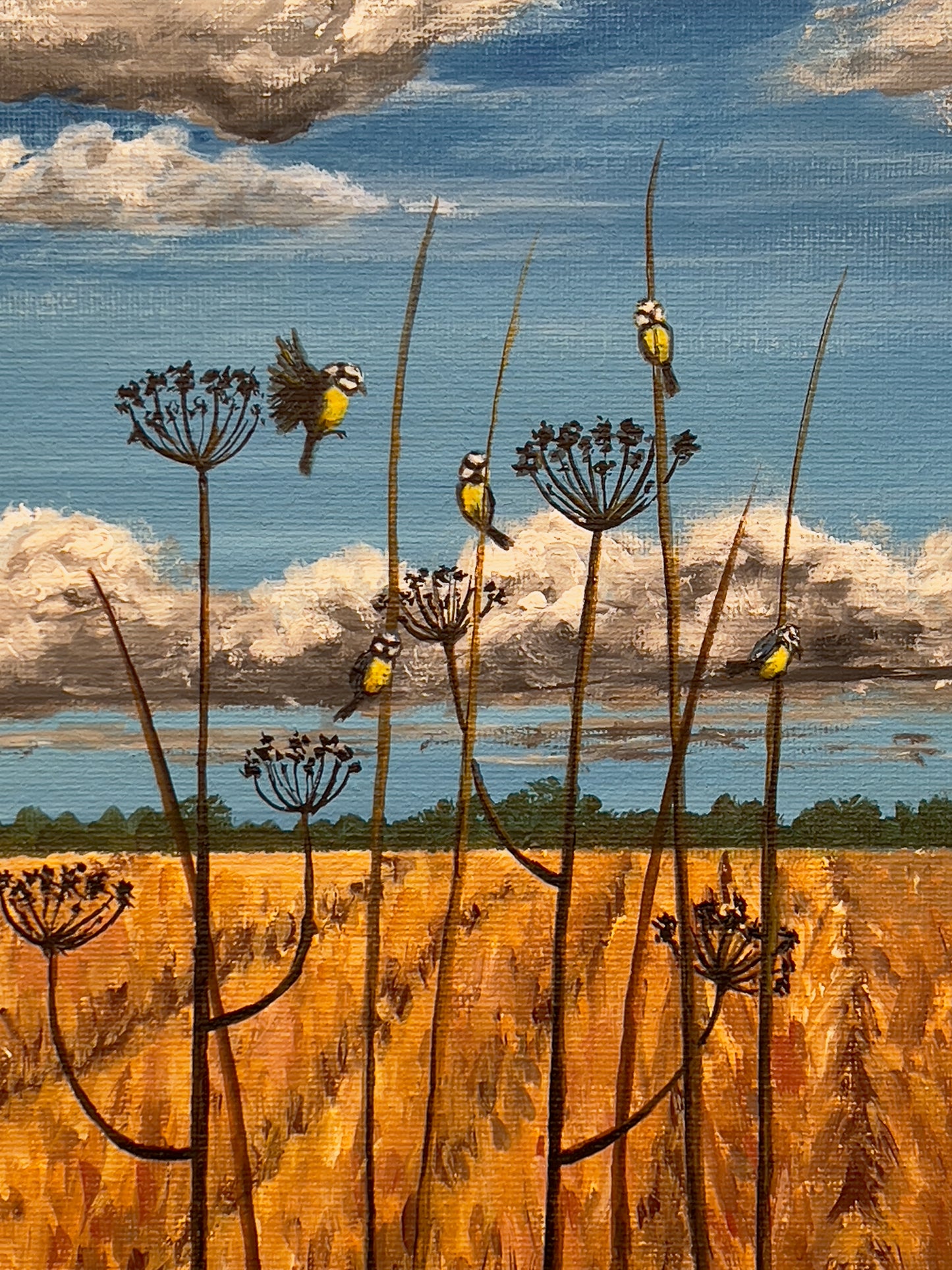 Meeting under the Clouds