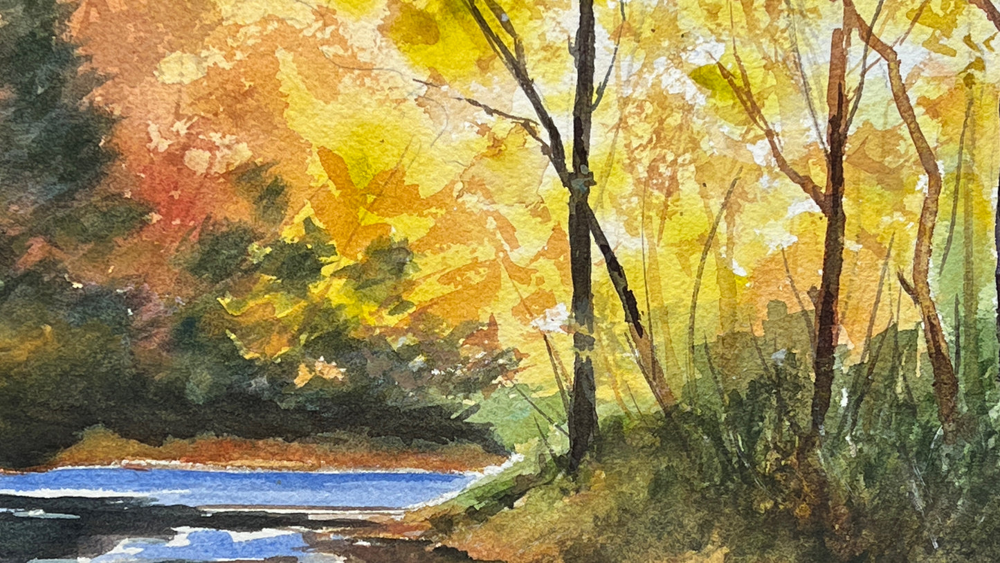 Autumnal Stream