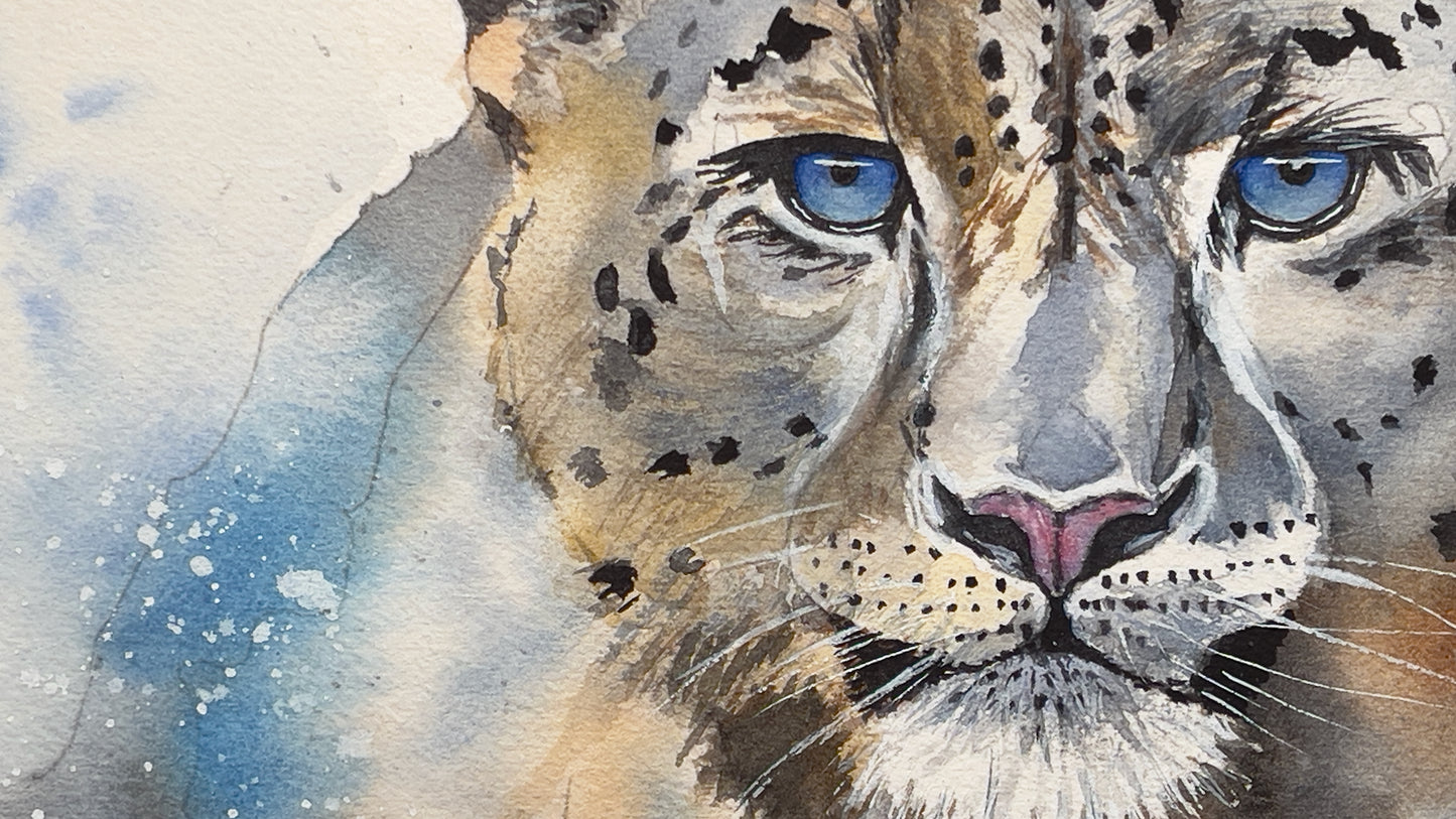Snow Leopard