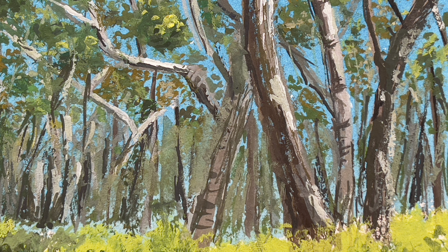 Australian landscape