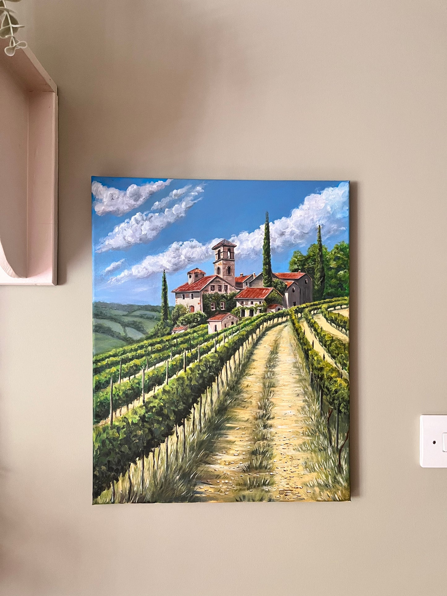 Italian Vineyard