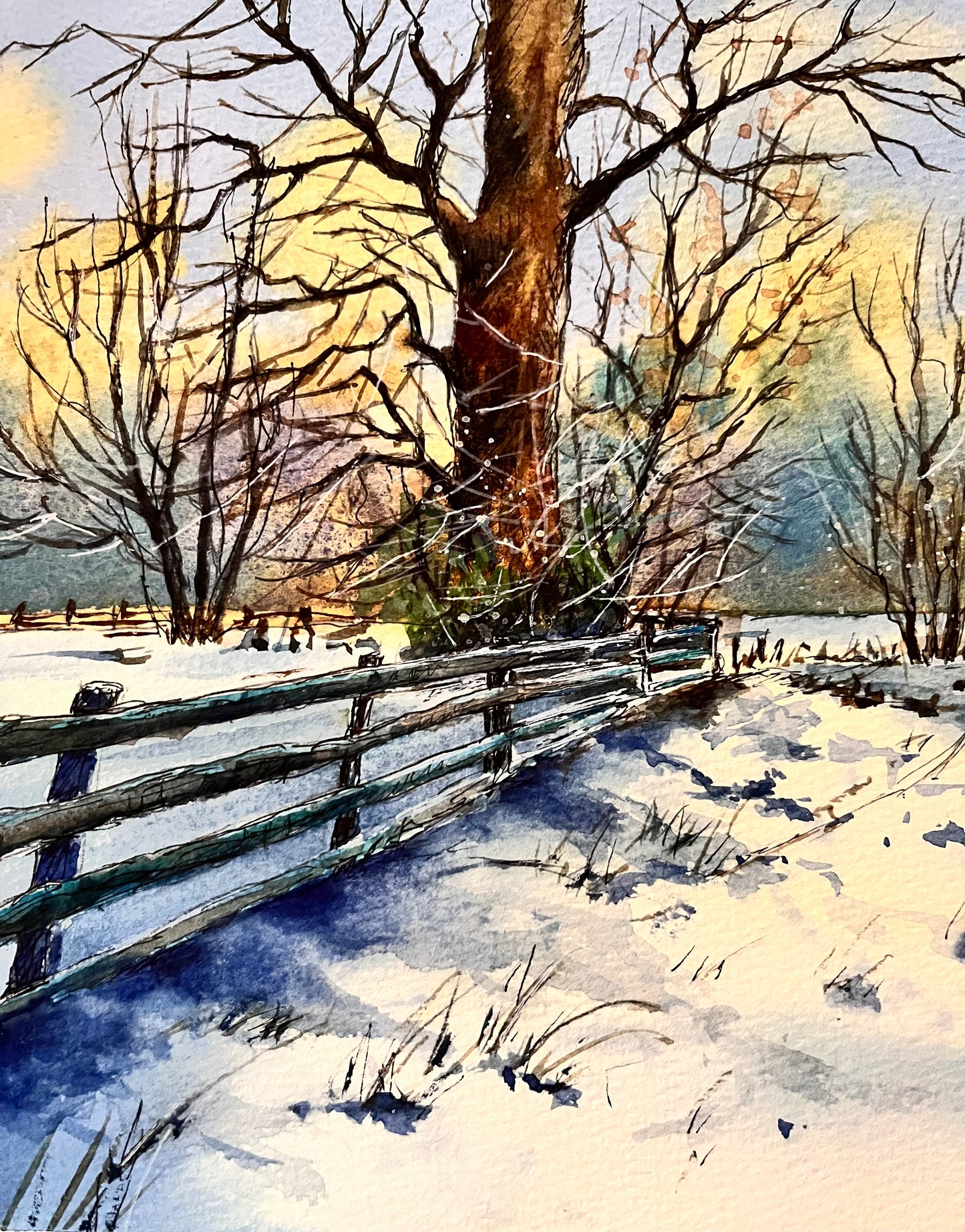 Winter trees