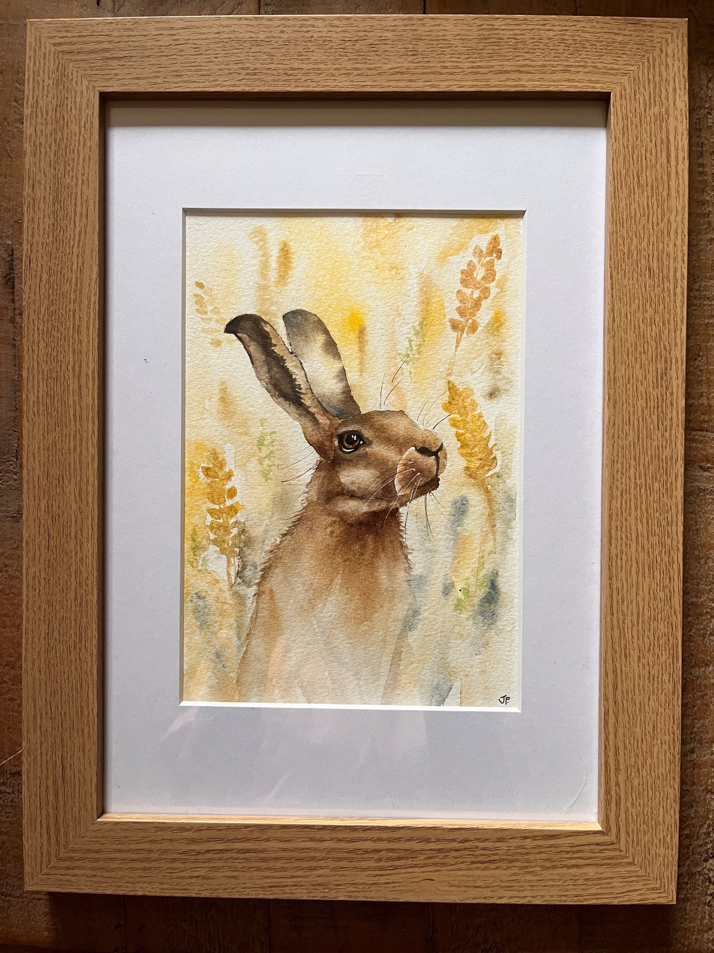 Little brown hare