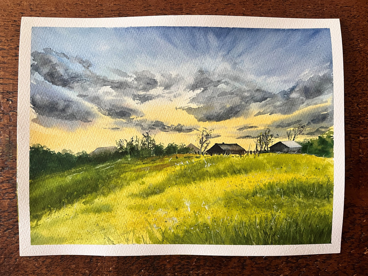 Stormy meadow