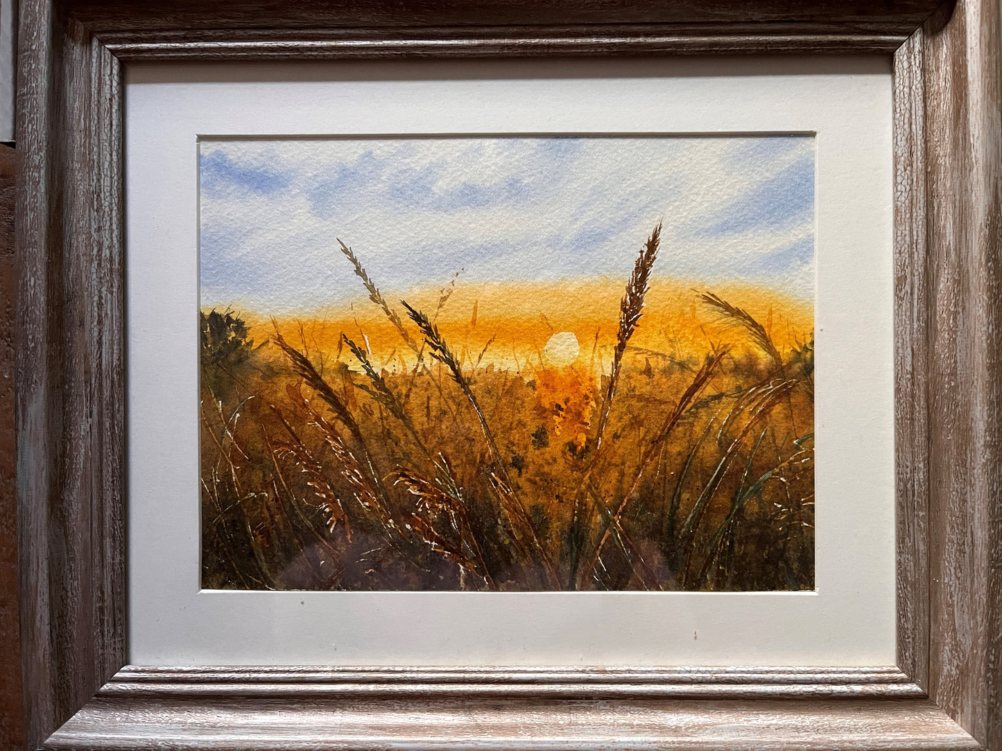 Sunlit Meadow
