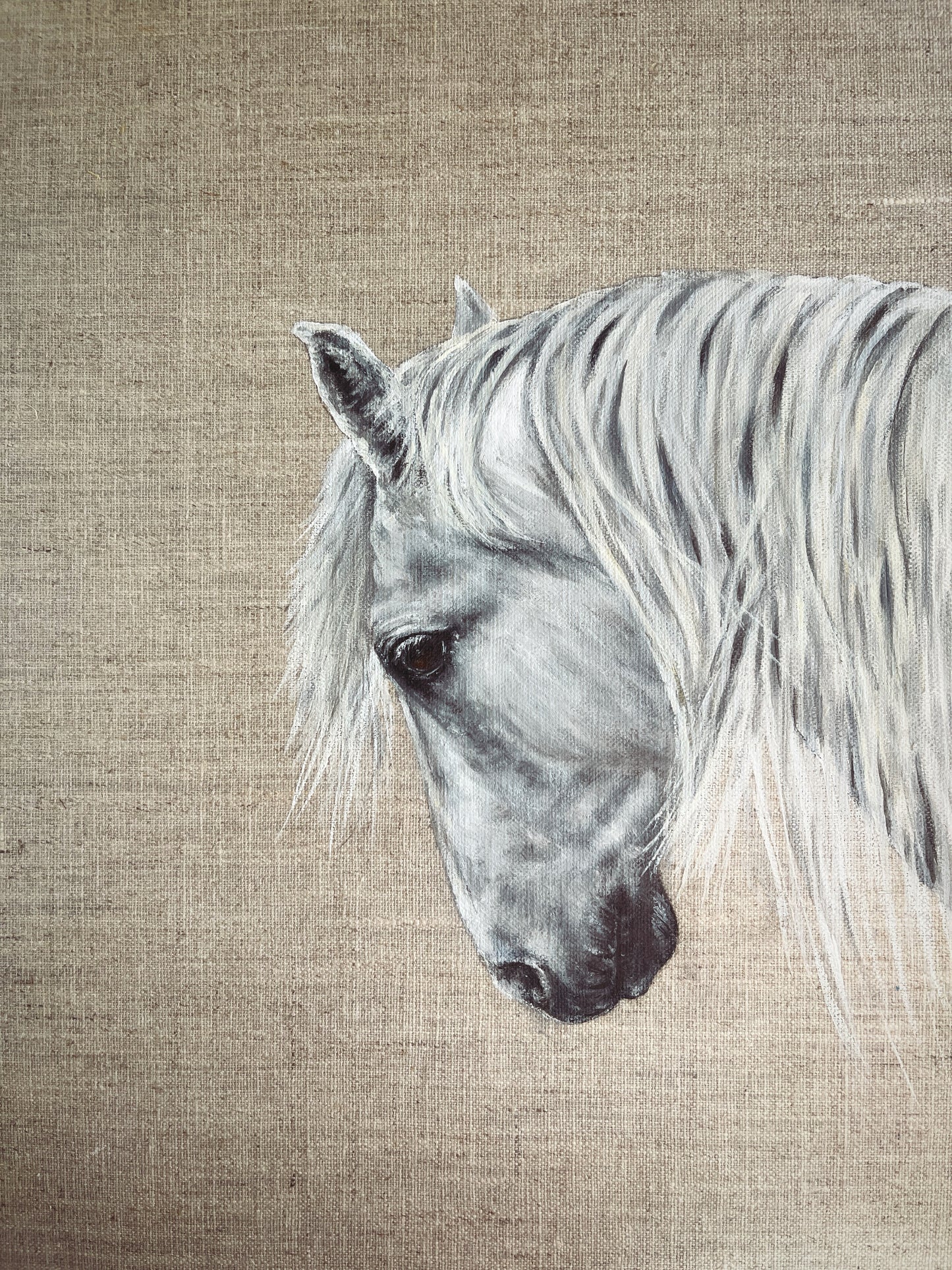 Horse portrait in oil on a linen canvas