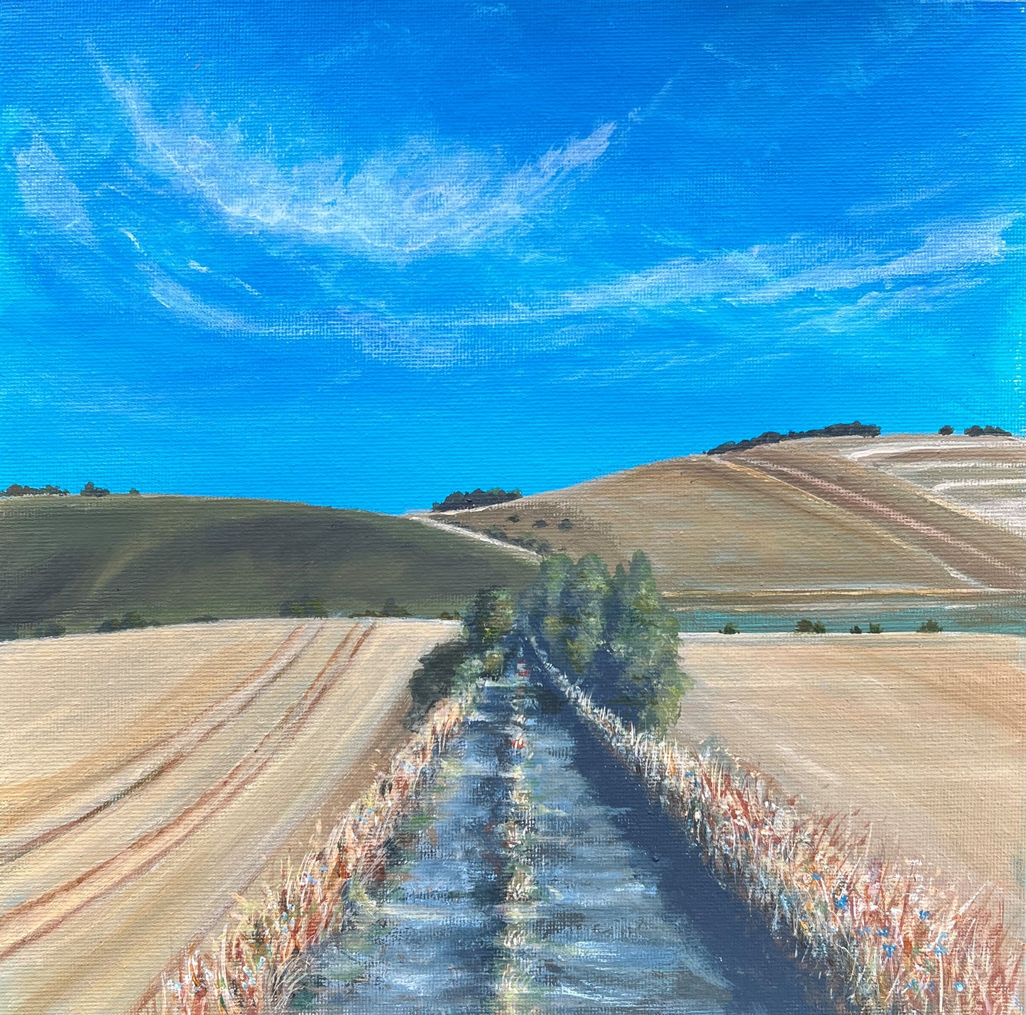 Wessex Downs