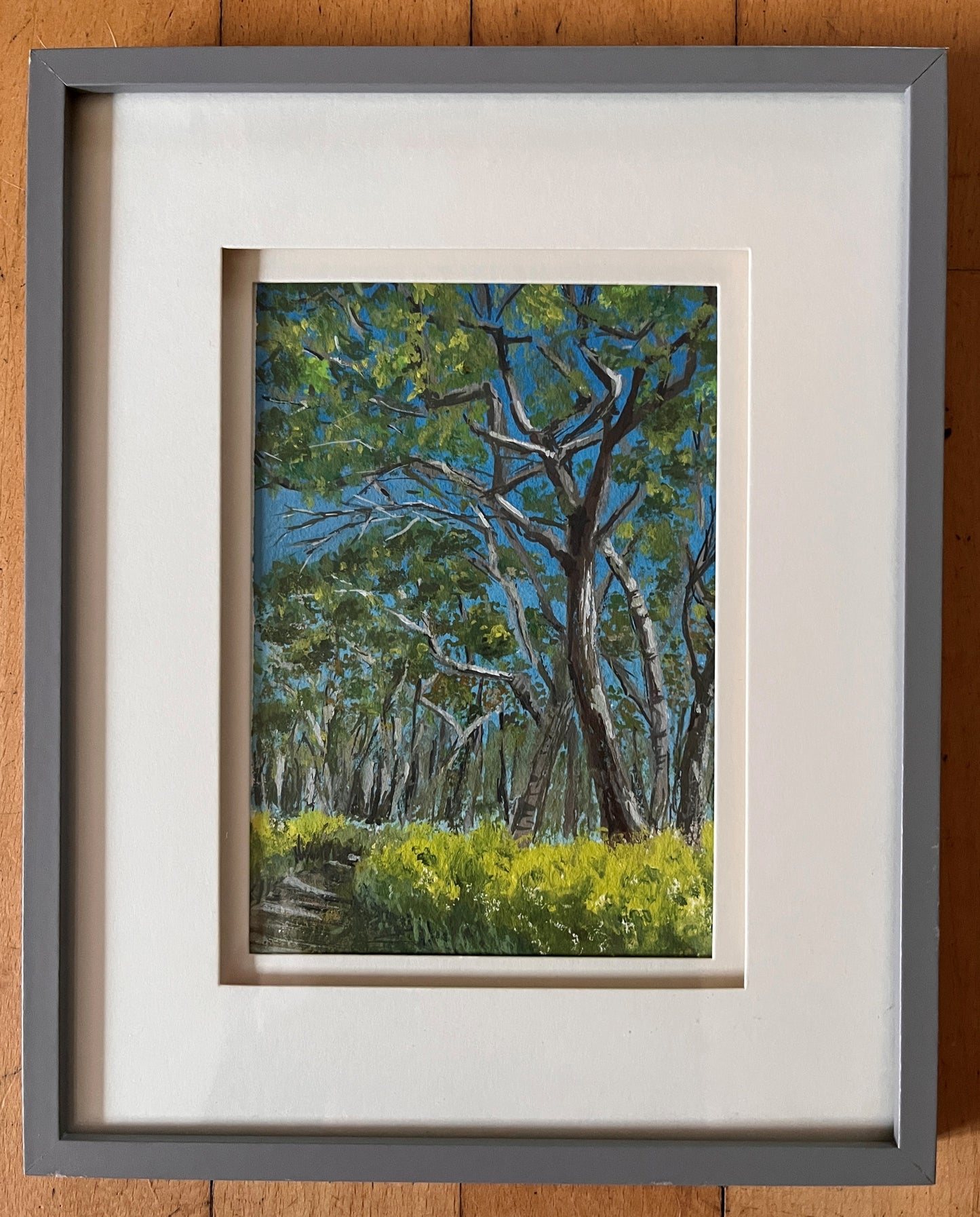 Australian landscape