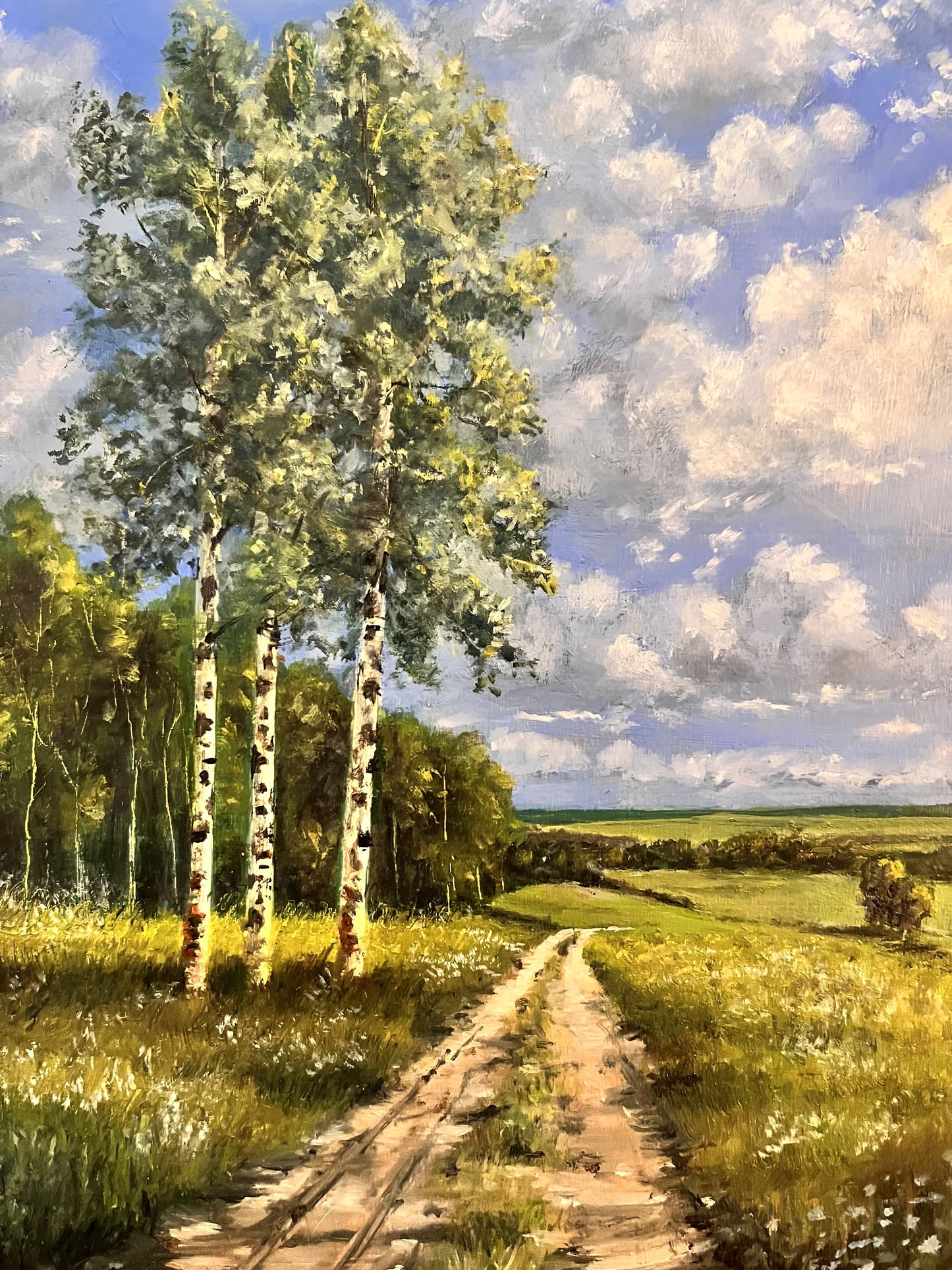 Birch Trees in Summer time (Oil on panel)
