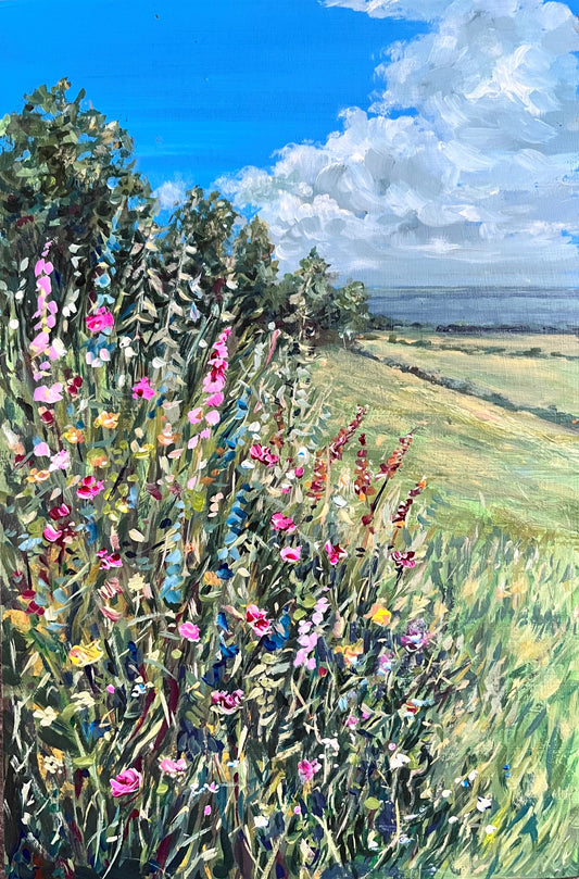 WIldflowers on the coastal path