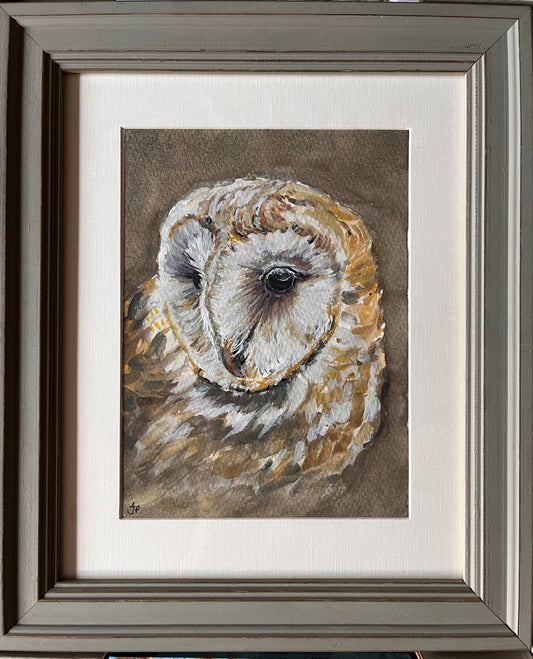Barn Owl