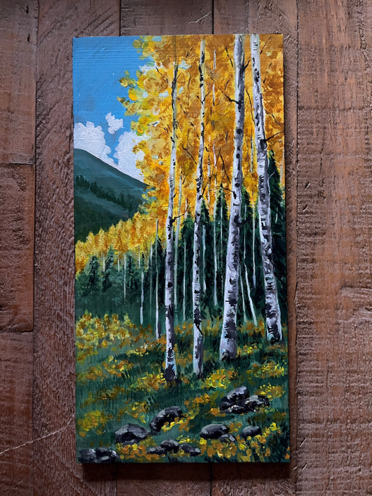 Colourful birches