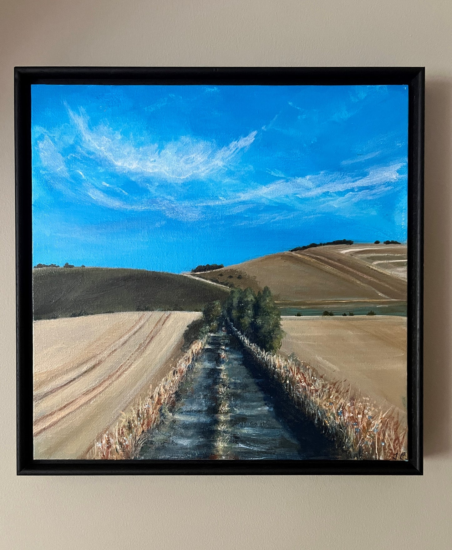Wessex Downs
