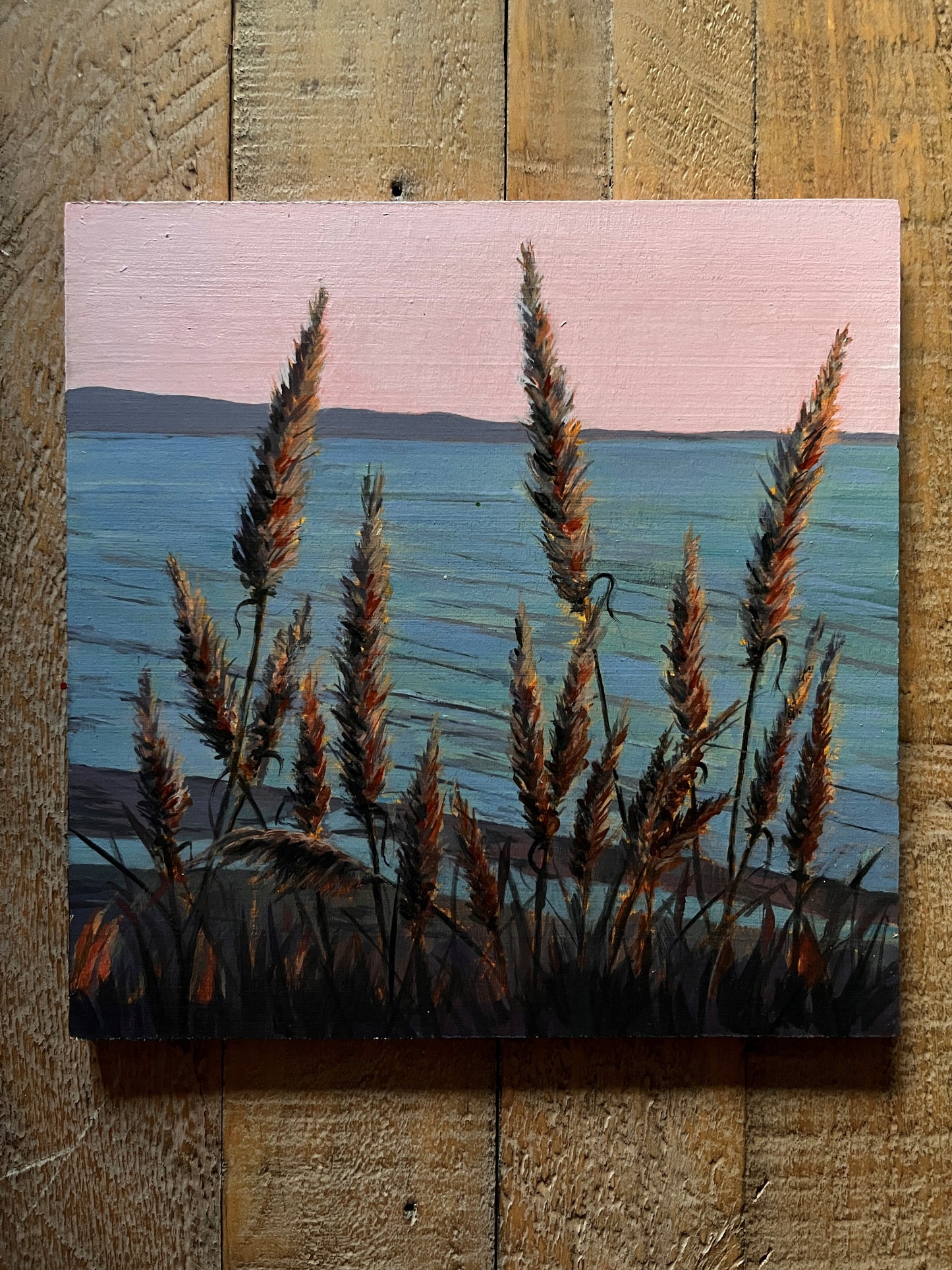 Swaying grasses