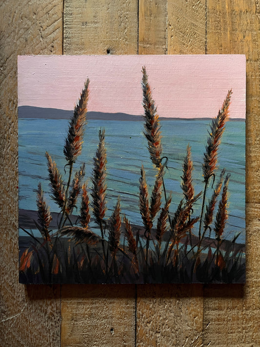 Swaying grasses