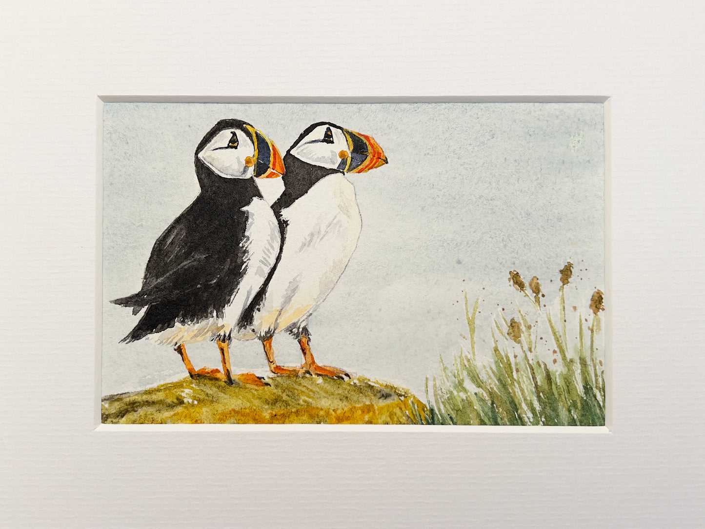 Pair of Puffins
