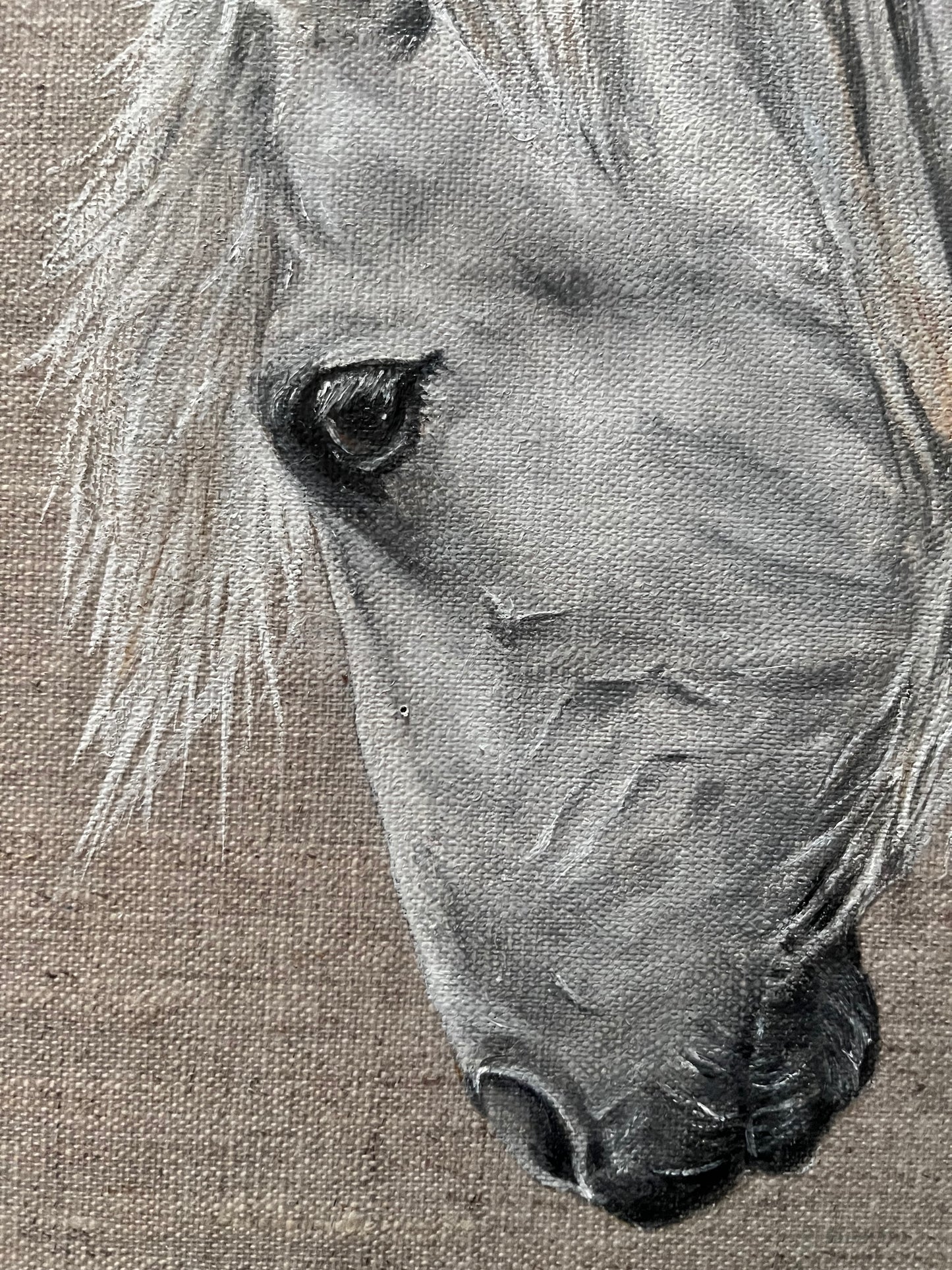 Horse portrait in oil on a linen canvas
