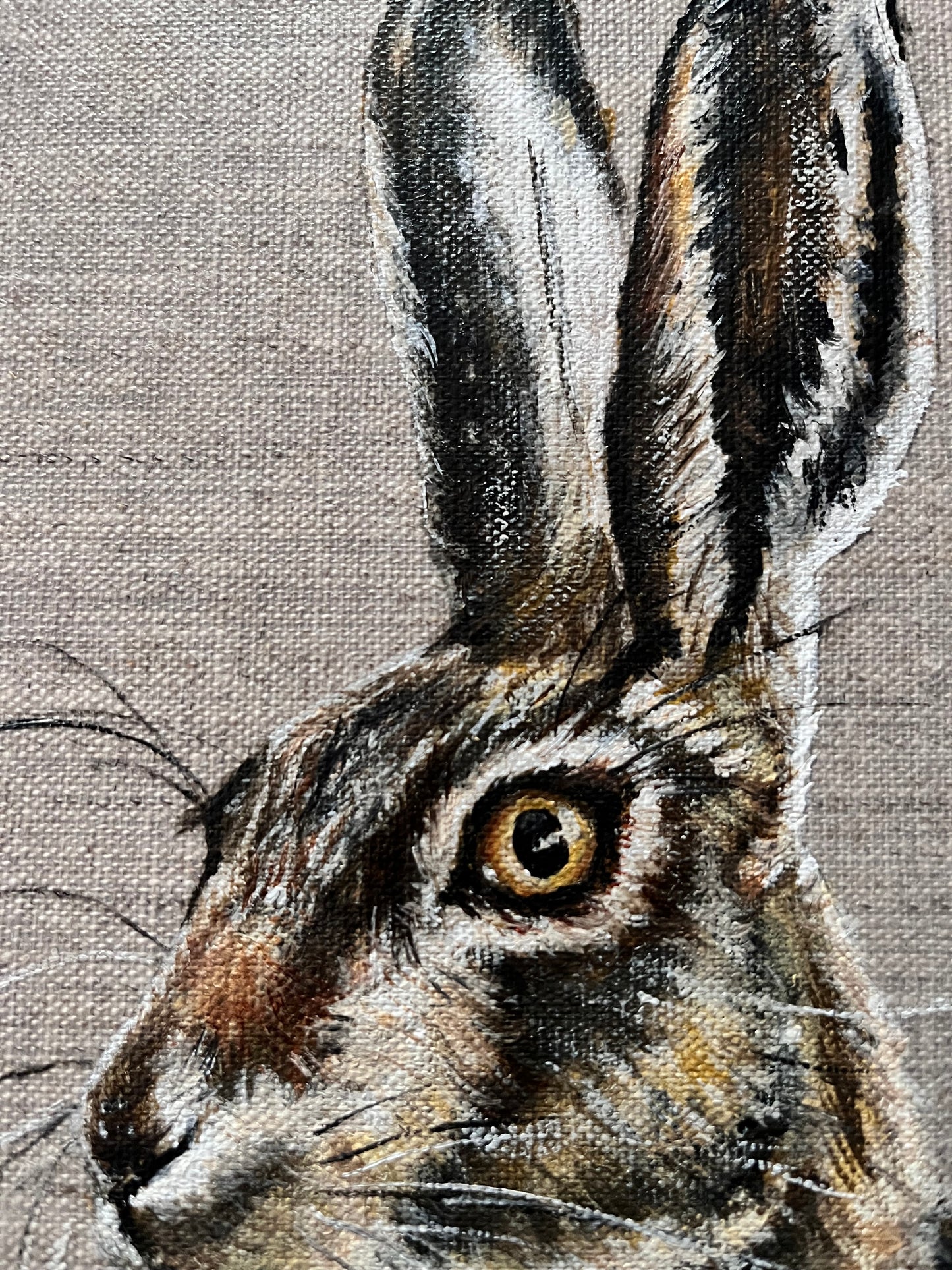 Hare portrait in oil on a linen canvas