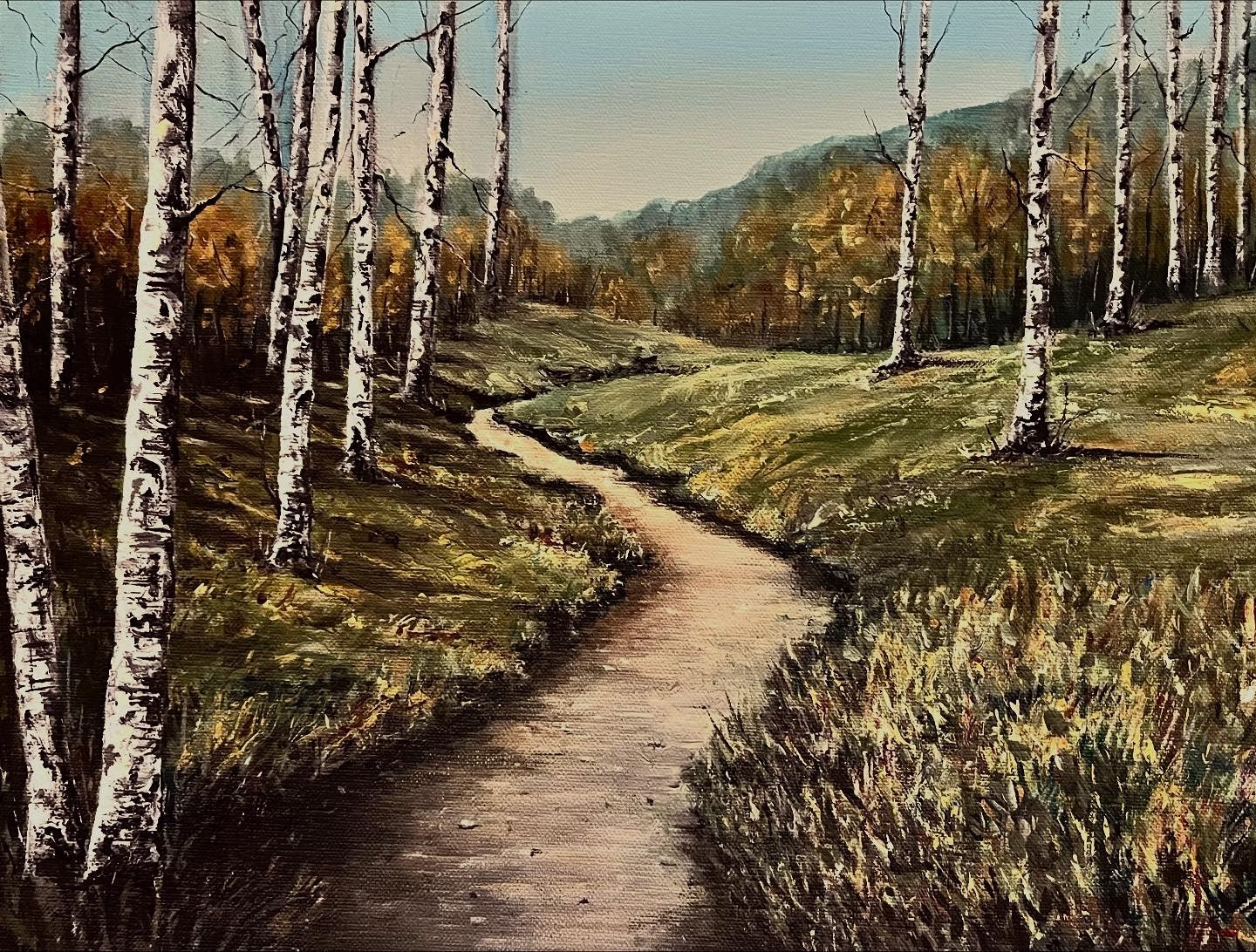 Birch Trees in Autumn