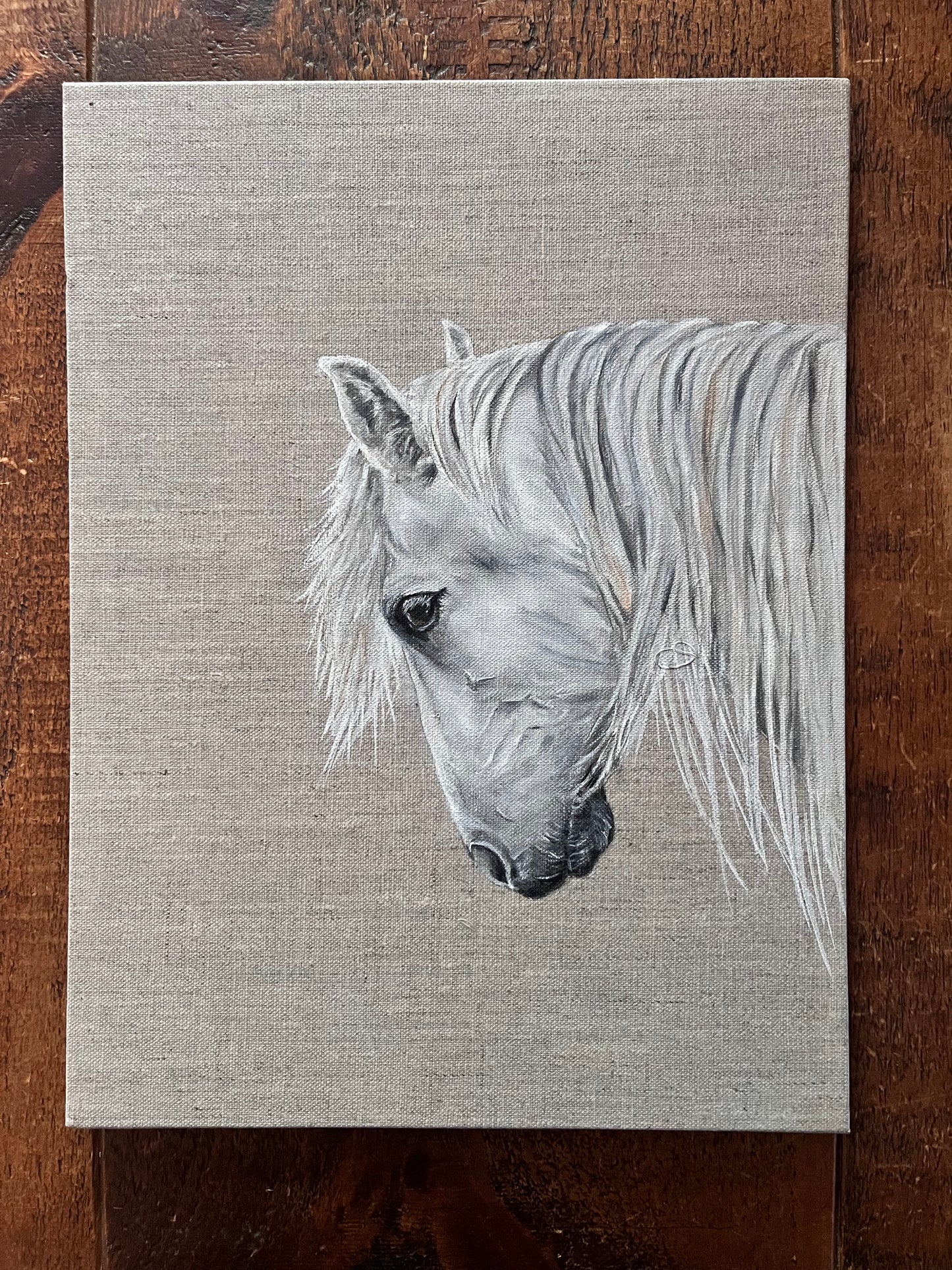 Black and white drawing of a horse's head on a textured gray background