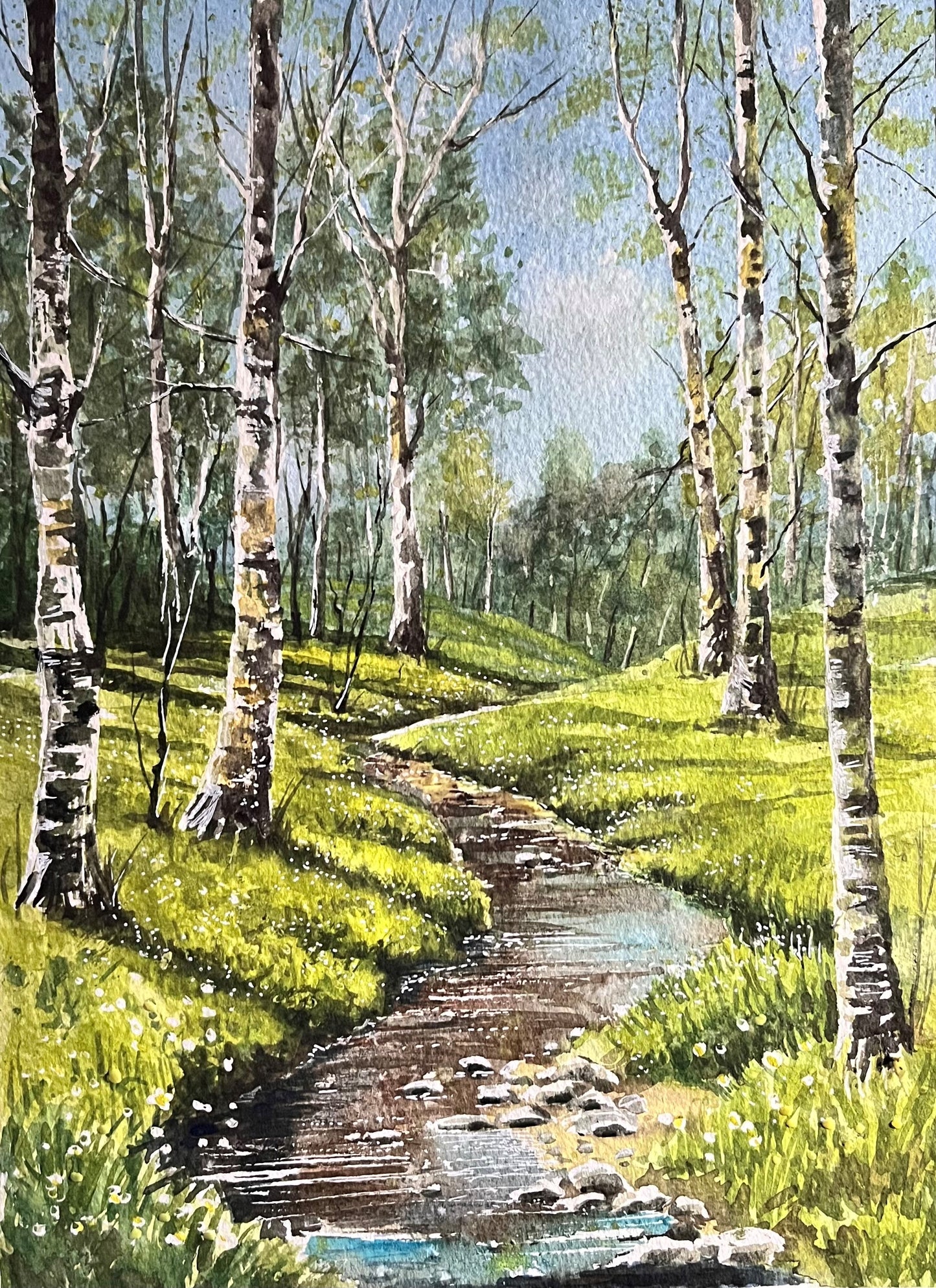 Birch Trees in springtime