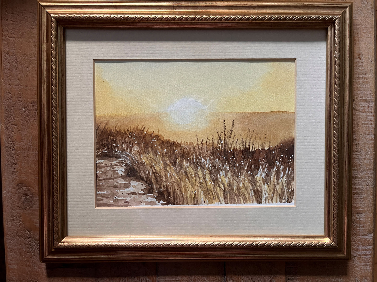 Grasslands at sunset